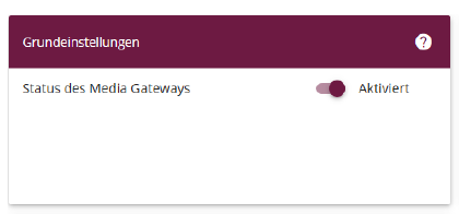 So Richten Sie Einen Easybell S I P Trunk In Einer Bintec Elmeg Telefonanlage Ein M G W Modus Grundeinstellungen 1