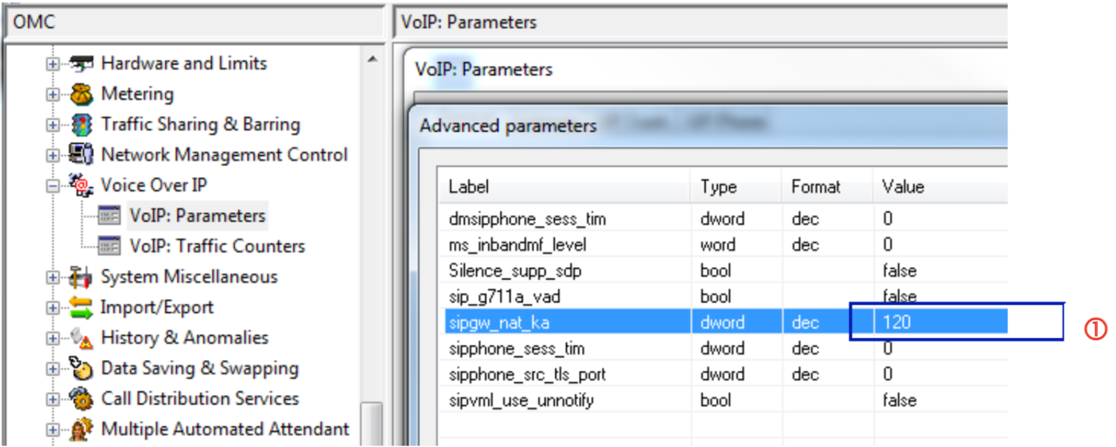 ALE OXO VoIP Parameter Erweitert Screenshot