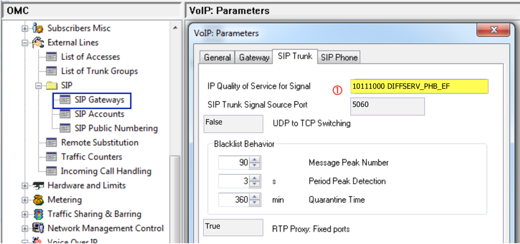 ALE OXO VoIP Parameter SIP Gateways SIP Trunk Screenshot