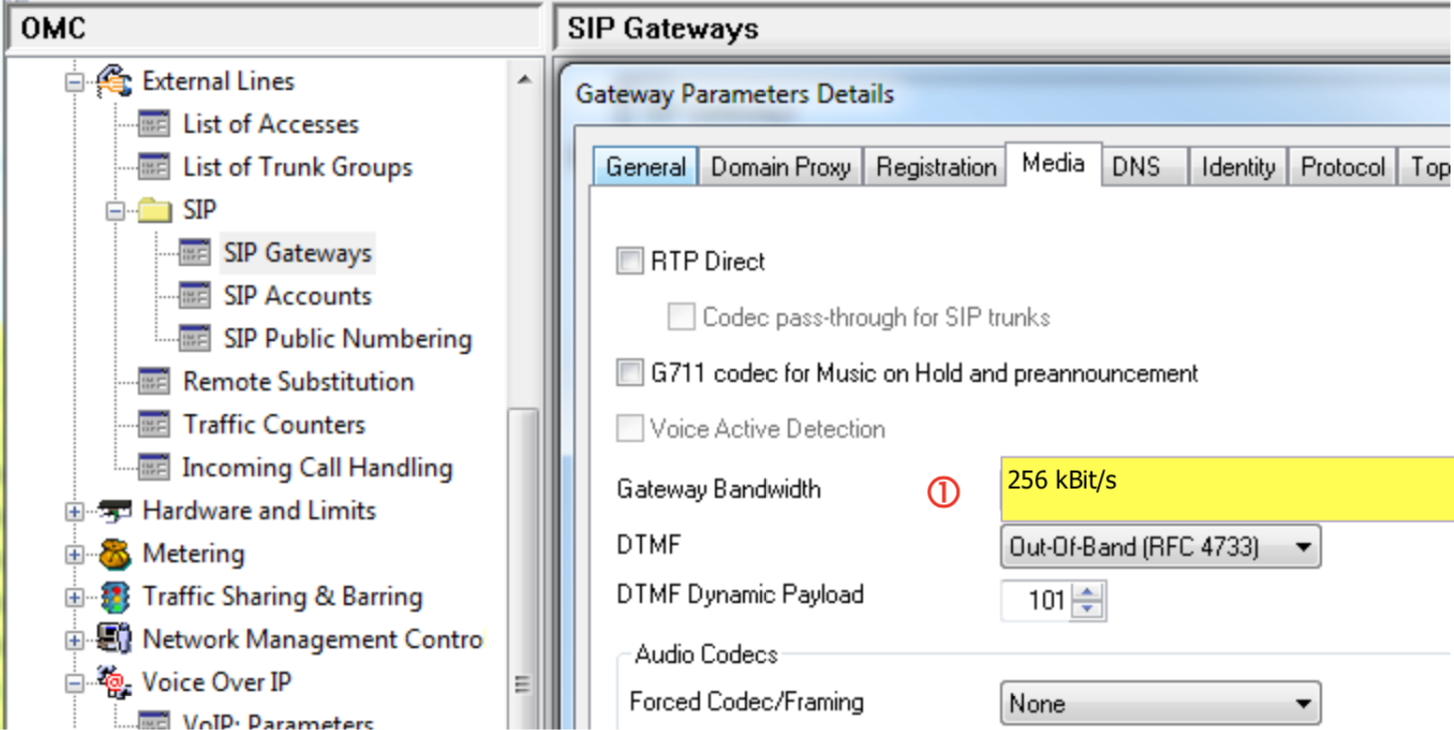 ALE OXO SIP Gateways Media Screenshot