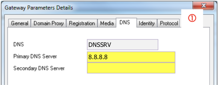 ALE OXO Gateway Parameter DNS Details Screenshot