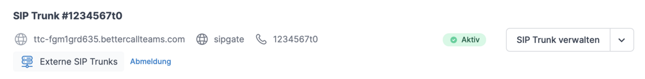 screenshot SIP Trunk Verbindung (aktiv)